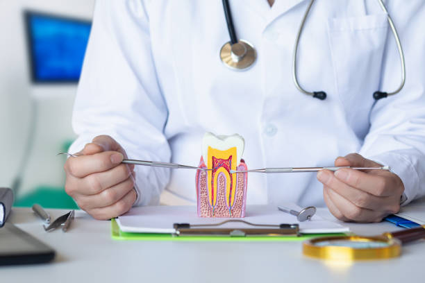 Best Root Canal Emergency Dentist  in Highland, IL